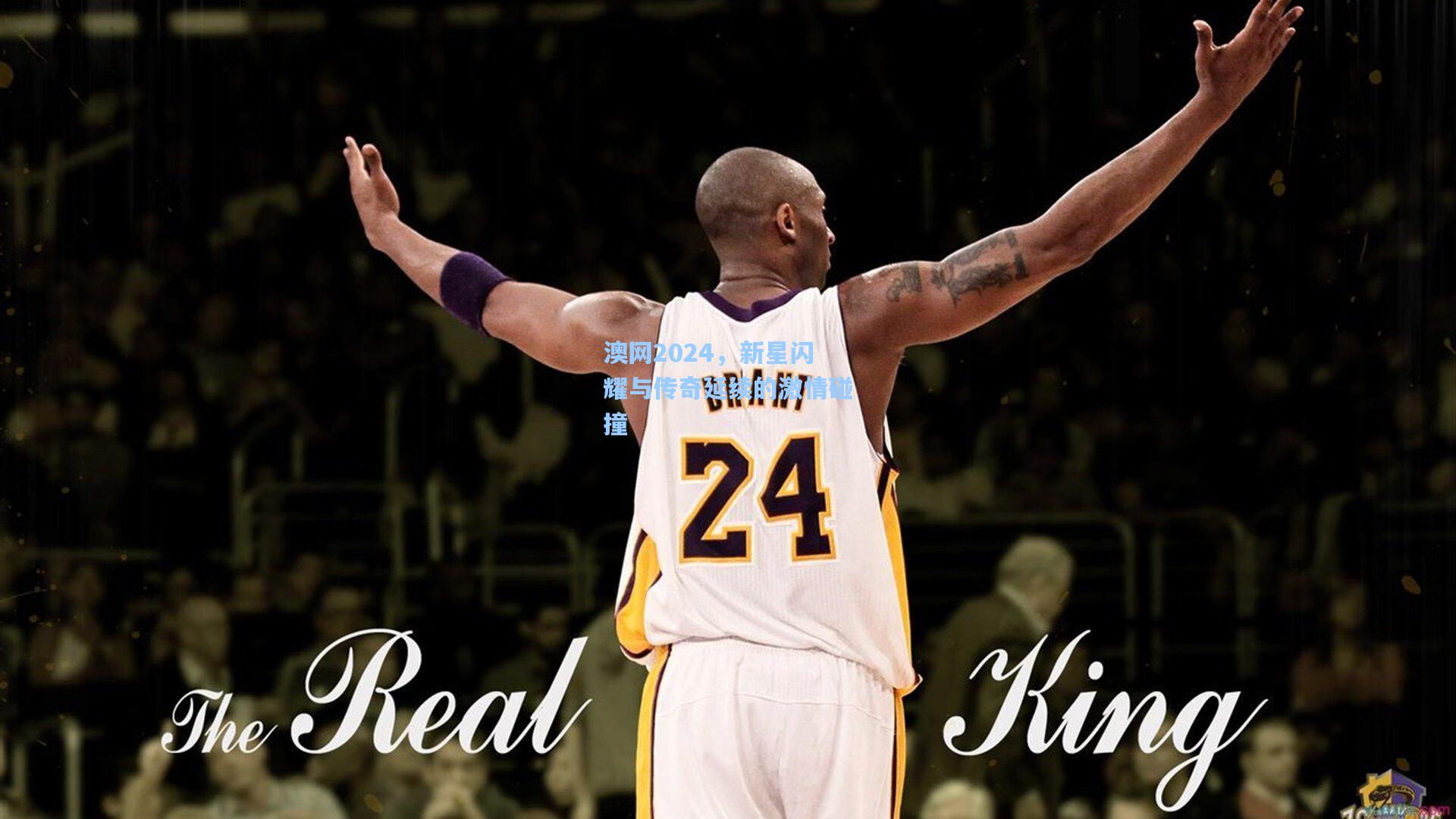 pg电子模拟器-澳网2024，新星闪耀与传奇延续的激情碰撞