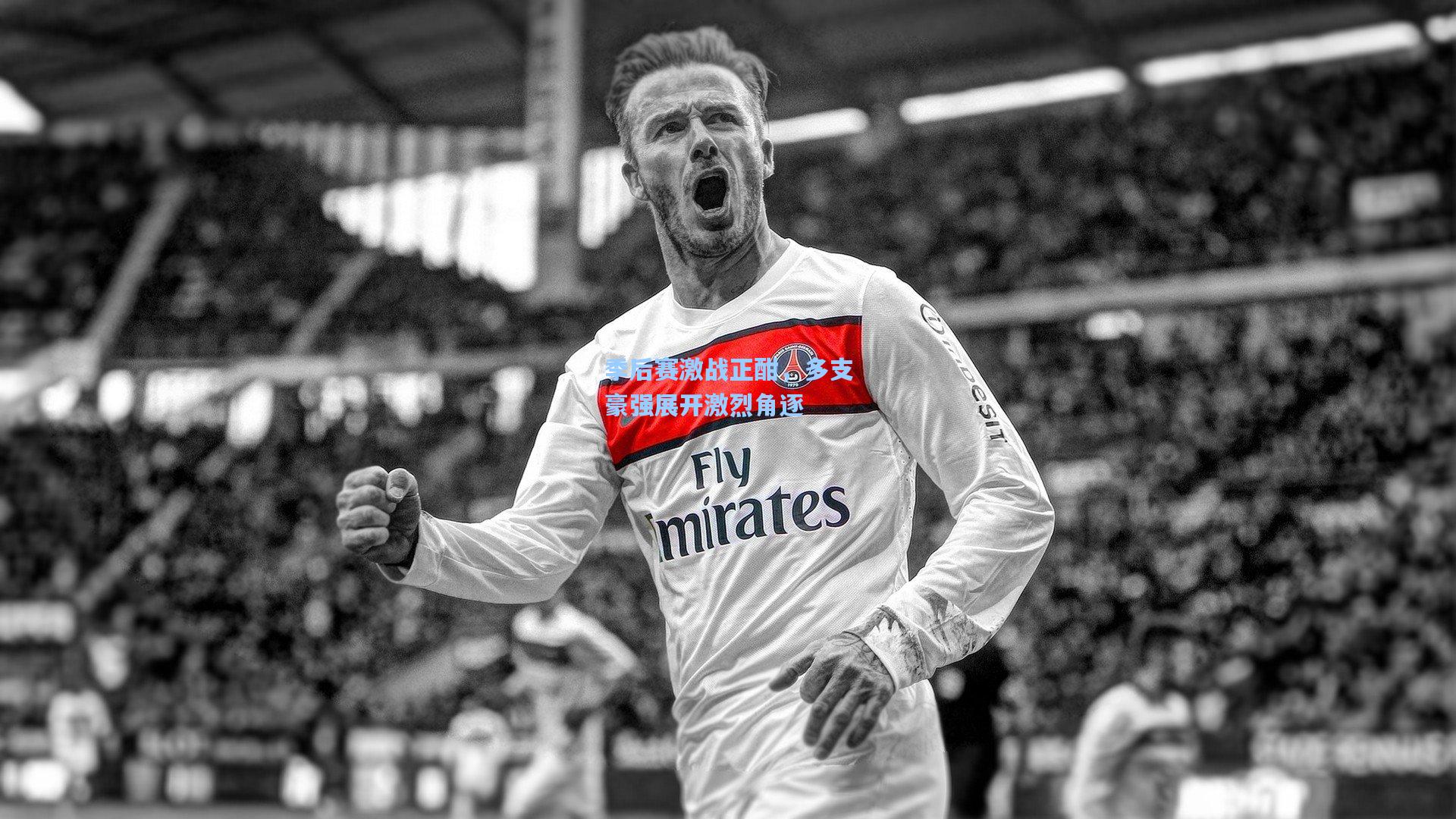 季后赛激战正酣，多支豪强展开激烈角逐