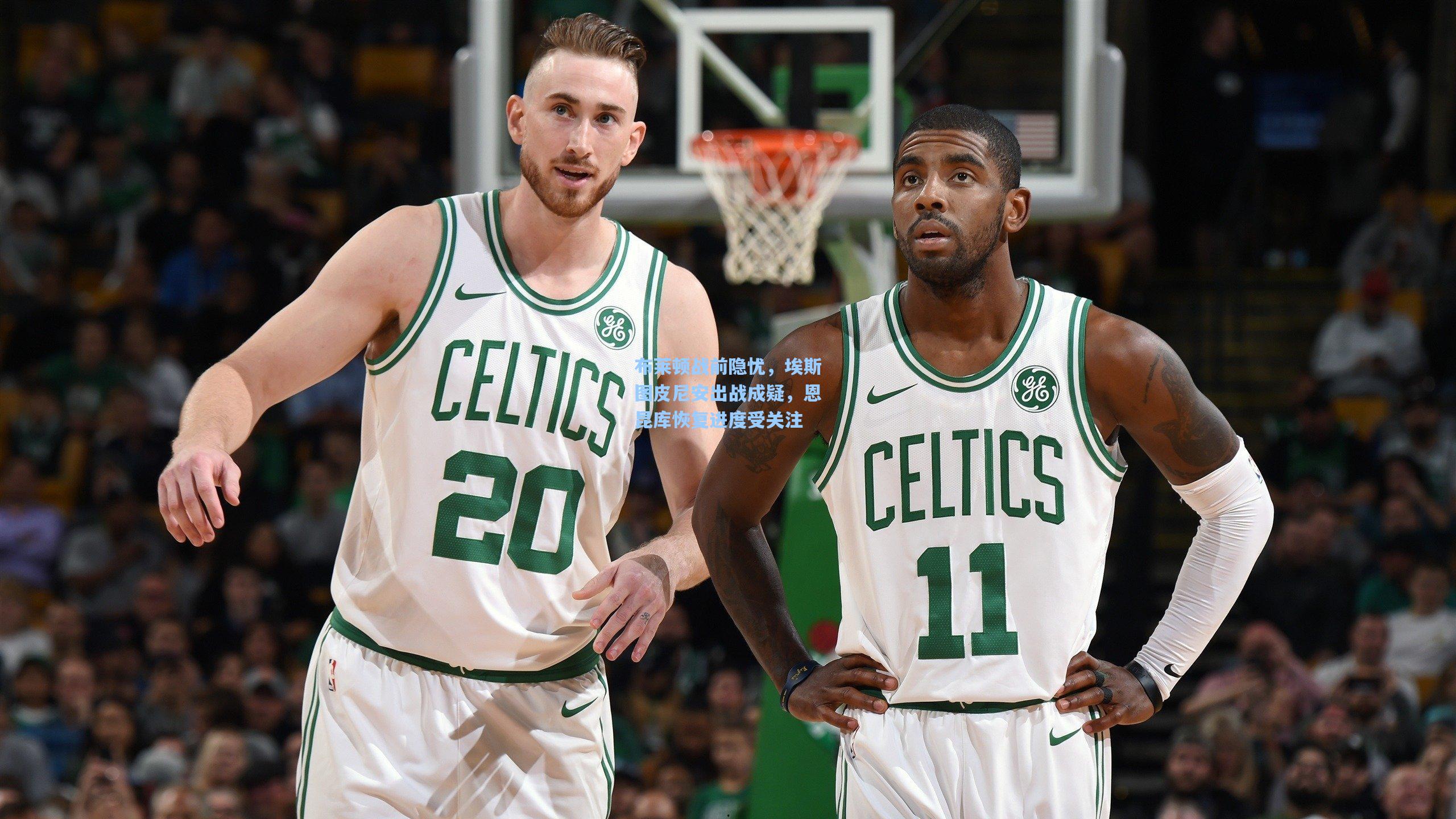 布莱顿战前隐忧，埃斯图皮尼安出战成疑，恩昆库恢复进度受关注